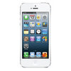 Apple iPhone 5 16Gb white - Невинномысск